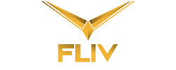 Industrias FLIV